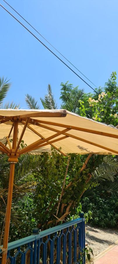 L'Hirondelle De Kelibia : Chez Amou Hotel Exterior photo